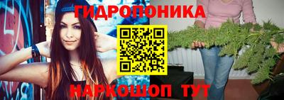 альфа пвп Кингисепп