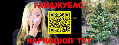 стафф Кинель