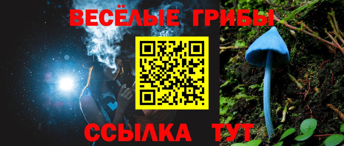 Псилоцибиновые грибы Magic Shrooms  Вход с VPN  Котельники 